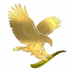 The Falcons of Robloxia