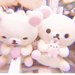 The lil teddy bears