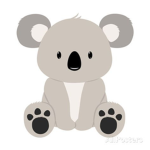 Koala Family!