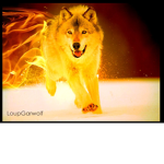 the_fire_pack