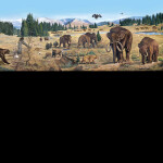 pleistocene period