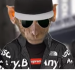 DA MONKE DRIP GANG