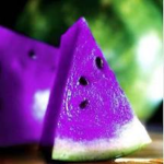 Purple Melon Squad