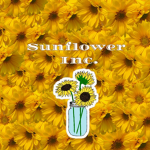 Sunflower Inc