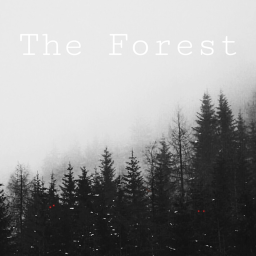 The Forest