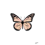 #Butterfly Squad Roblox