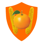 Roblox Grand Republic Orange Party