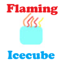 Capture the Flag