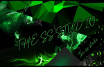THE SS STUDIO