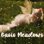 Oasis Meadows