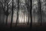 Greywood Park