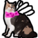 Fairy cat group