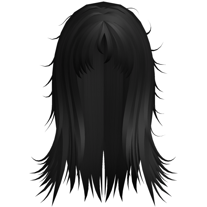 Long Shaggy Layered Hair (Black)