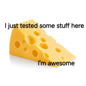 Cheez's Working Experience 