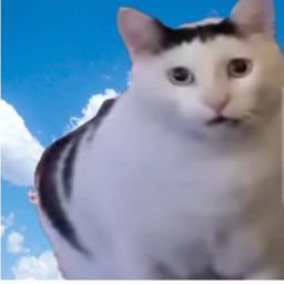 Huh cat game (BETA)
