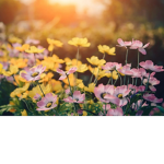 [flower.teams]