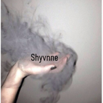 Shyvnne homestore