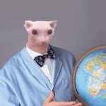 Bingus’s basment
