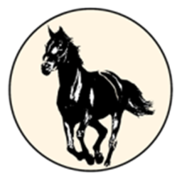 nikola icon