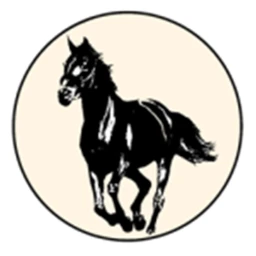 nikola icon