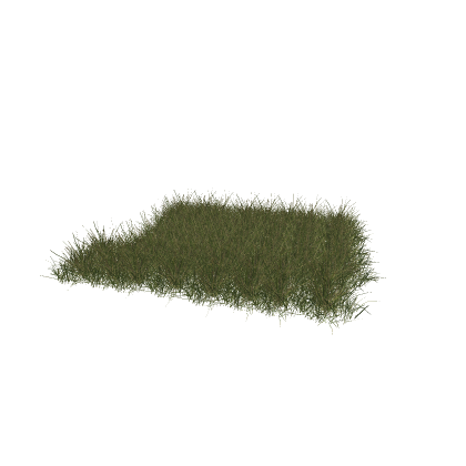 Grass for edits (Laggy)