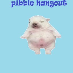 Pibble Hangout