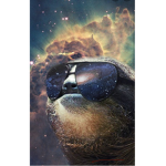 SuperSloths