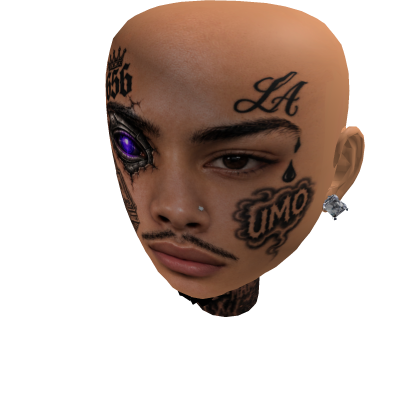 PackMane Custom Mesh
