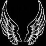 The Winged Kingdom