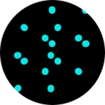 Dimension Pro