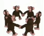 The Jollies
