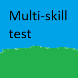 Multi skill test