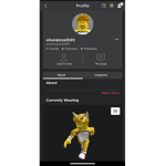 AmyRose_151 Missers