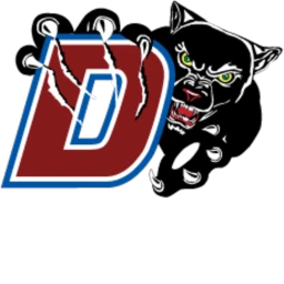  DUNCANVILLE PANTHERS HS NHSPA icon
