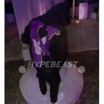 •HYPEBEAST•