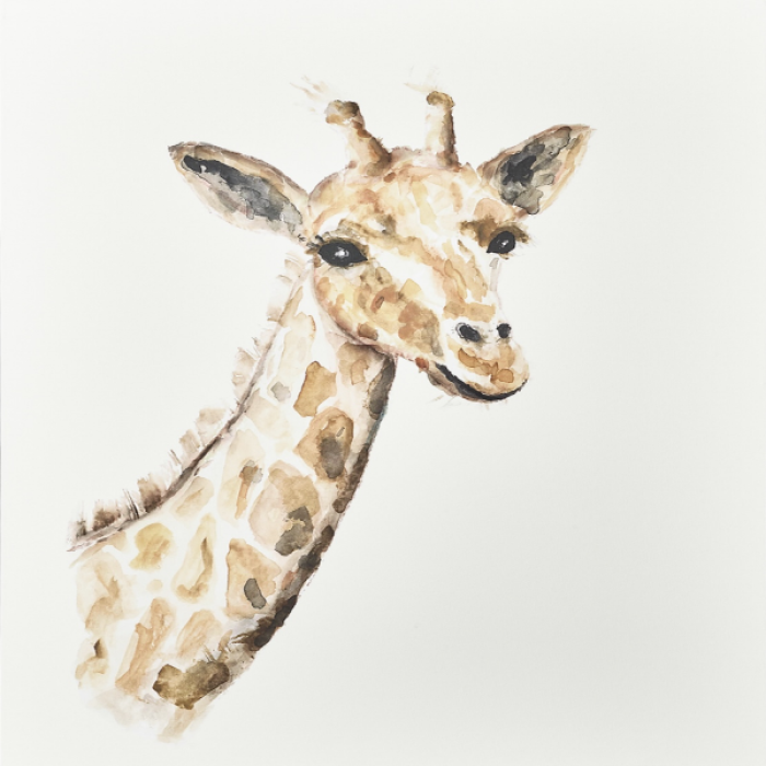 Aesthetic Watercolor Nursery Art Giraffe bww Roblox decal
