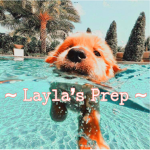 ~Layla’s Prep~