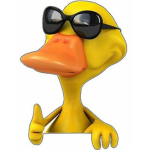 le epic d bois