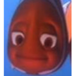 nice nemo