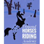 Diamond Horses Riding Academy