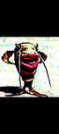 Ruby Roblox Cat