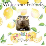 Welcome friends <3