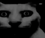 /996