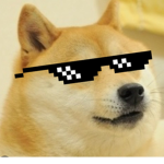d cool bros