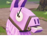 Llamas rock
