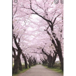 Rhiannas_group