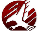Team Falcon #. #. A. #. team