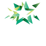 Roblox Radio Star