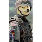 The Doge military group