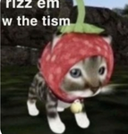 Kittiz clan